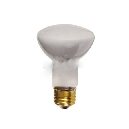 30W Bulb Socket Light Bulb Grey Glass